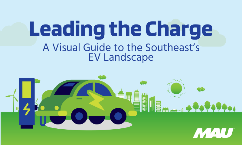 The Electric Vehicle Landscape of the Southeast: A Visual Guide